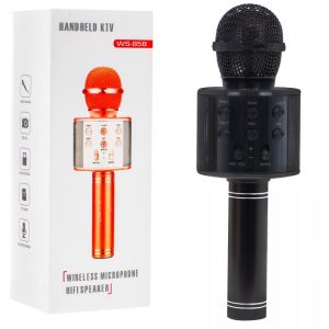 Karaoke mikrafonas su efektais
