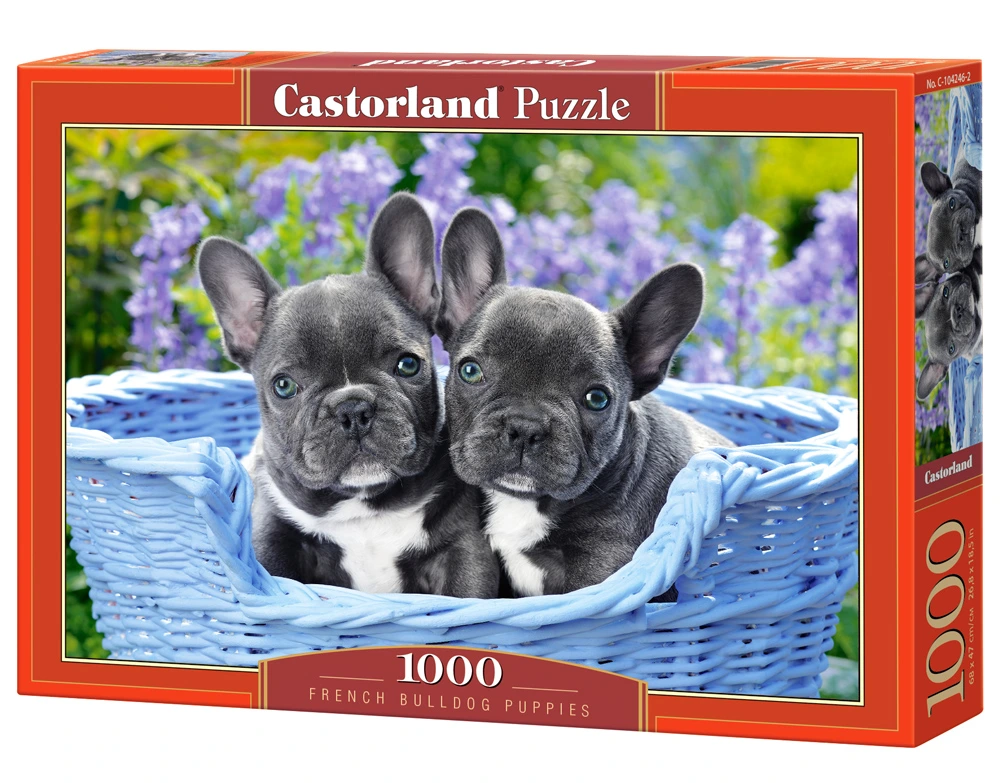 Dėlionė Castorland French buildog pupies (Prancūzų buildogų šuniukai)1000 detalių
