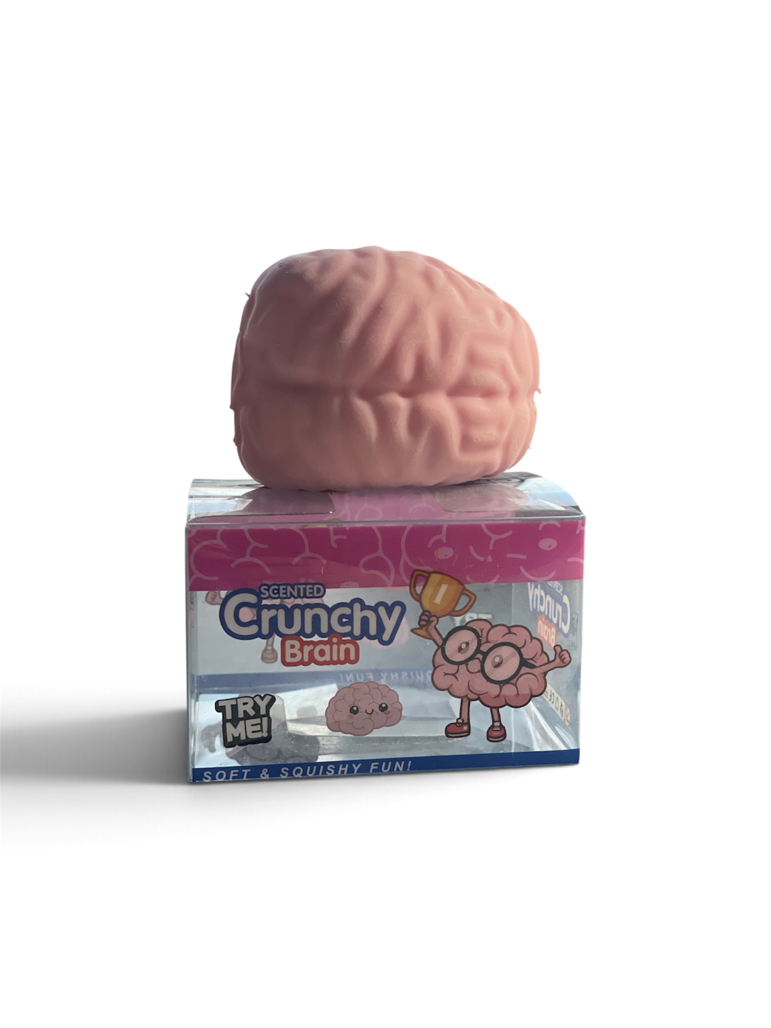 Crunchy Crackle smegenys Squishy – traškantis antistresinis žaislas